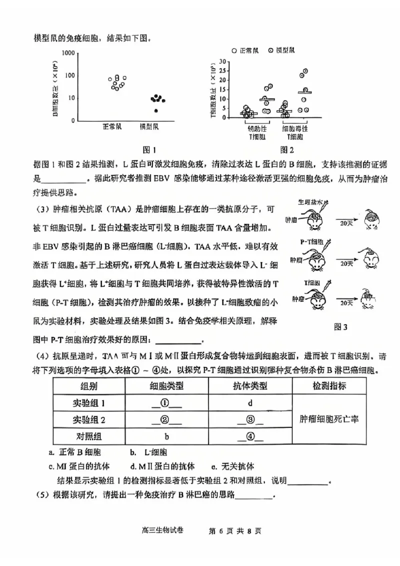 生物试卷_2025年2月_250201福建省福州市福建师范大学附属中学2025届高三上学期期末考试试题_福建省福建师范大学附属中学2024-2025学年高三上学期1月期末生物试题