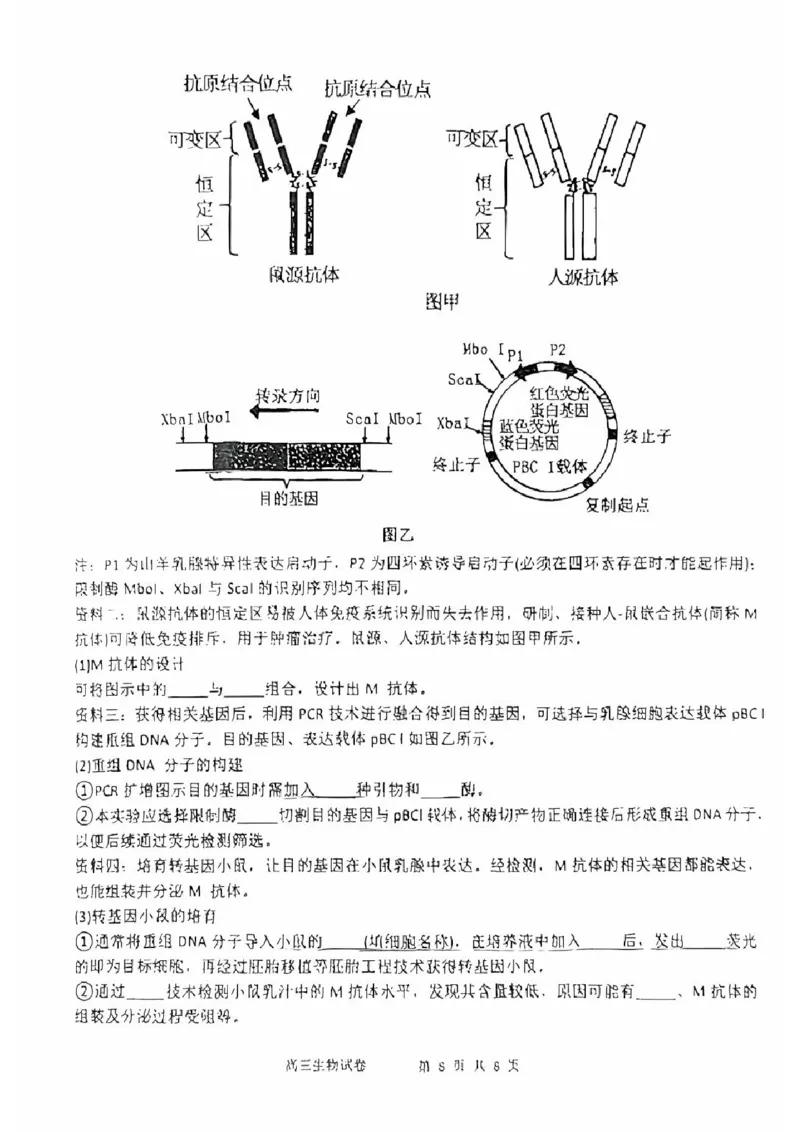 生物试卷_2025年2月_250201福建省福州市福建师范大学附属中学2025届高三上学期期末考试试题_福建省福建师范大学附属中学2024-2025学年高三上学期1月期末生物试题