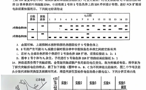 生物试卷_2025年2月_250201福建省福州市福建师范大学附属中学2025届高三上学期期末考试试题_福建省福建师范大学附属中学2024-2025学年高三上学期1月期末生物试题