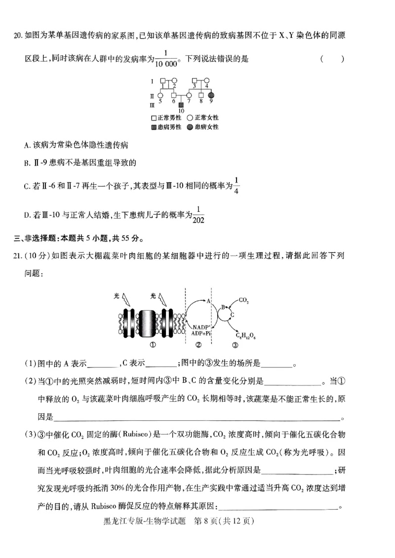 2024王后雄黑龙江专版&mdash;&mdash;生物_2024高考押题卷_22024王hou雄_（新高考）2024王后雄押题预测卷（分科版）_6.生物
