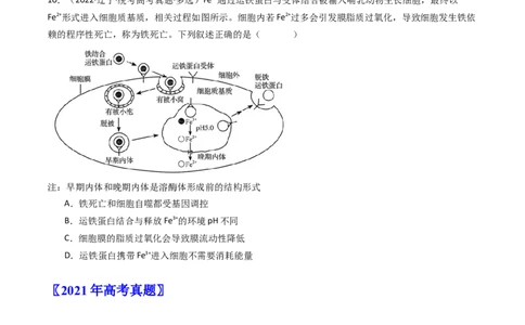 专题09细胞的分化、衰老、凋亡及癌变（原卷卷）_近10年高考真题汇编（必刷）_十年（2014-2024）高考生物真题分项汇编（全国通用）_十年（2014-2023）高考生物真题分项汇编（全国通用）
