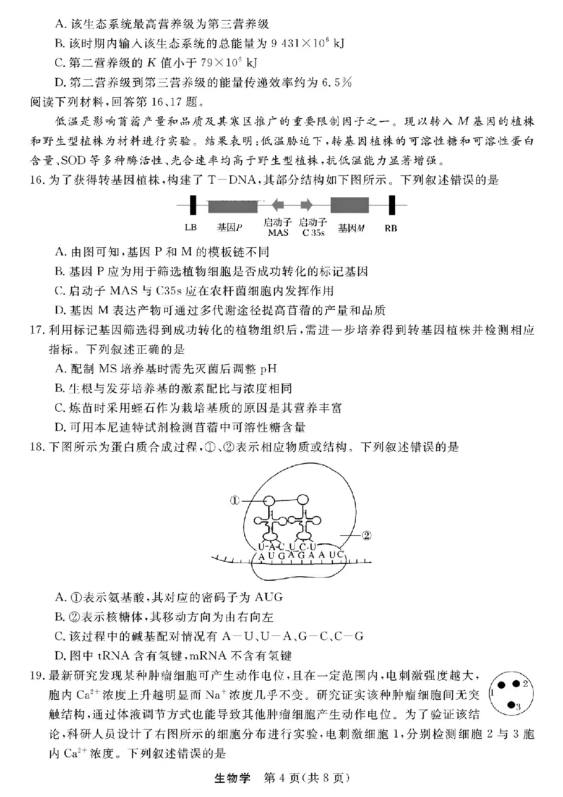 浙江强基联盟2025年8月高三联考生物_2025年8月_250828浙江强基联盟2025年8月高三联考（全科）