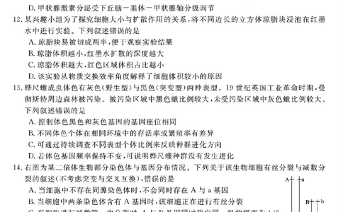 浙江强基联盟2025年8月高三联考生物_2025年8月_250828浙江强基联盟2025年8月高三联考（全科）