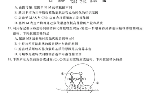 浙江强基联盟2025年8月高三联考生物_2025年8月_250828浙江强基联盟2025年8月高三联考（全科）