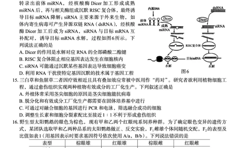 广西邕衡教育&middot;名校联盟2024~2025学年度2022级高三下学期开学考试生物_2025年2月_250220广西邕衡教育&middot;名校联盟2022级高三下学期开学考试（全科）
