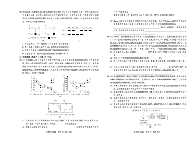 生物天一大联考&middot;河南省2025-2026学年高三年级上学期开学考_2025年9月_250906天一大联考&middot;河南省2025-2026学年高三年级上学期开学考（全科）