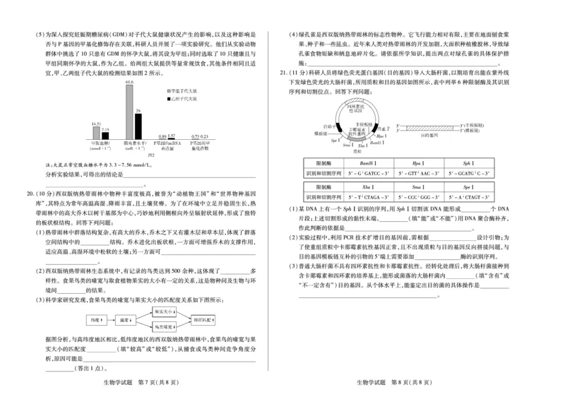 生物天一大联考&middot;河南省2025-2026学年高三年级上学期开学考_2025年9月_250906天一大联考&middot;河南省2025-2026学年高三年级上学期开学考（全科）
