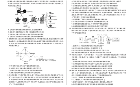 生物天一大联考&middot;河南省2025-2026学年高三年级上学期开学考_2025年9月_250906天一大联考&middot;河南省2025-2026学年高三年级上学期开学考（全科）