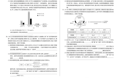 生物天一大联考&middot;河南省2025-2026学年高三年级上学期开学考_2025年9月_250906天一大联考&middot;河南省2025-2026学年高三年级上学期开学考（全科）