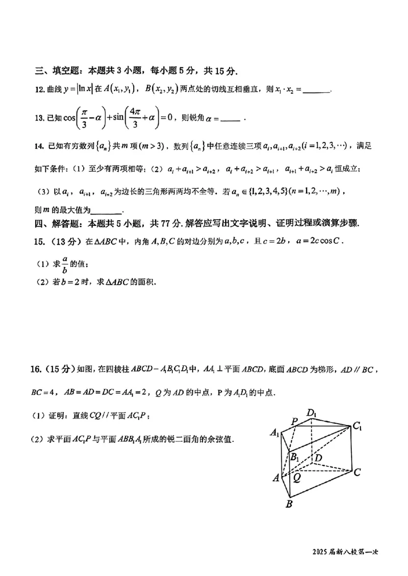 数学_2025年1月_250124江西省新八校2025届高三第一次联考（全科）_江西省新八校2025届高三第一次联考数学