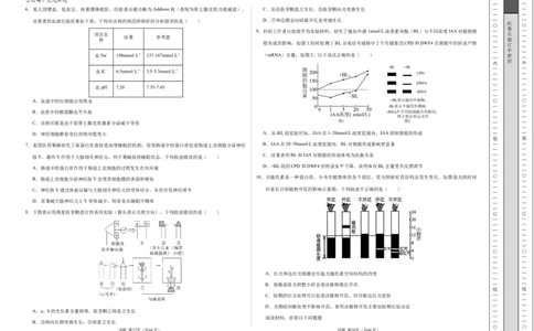 高二生物期中模拟卷测试范围：第1~5章（考试版A3）（天津专用）(1)_1多考区联考_1021高二期中模拟卷（天津专用）黄金卷：2024-2025学年高二上学期期中模拟考试