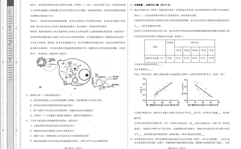 高二生物期中模拟卷测试范围：第1~5章（考试版A3）（天津专用）(1)_1多考区联考_1021高二期中模拟卷（天津专用）黄金卷：2024-2025学年高二上学期期中模拟考试