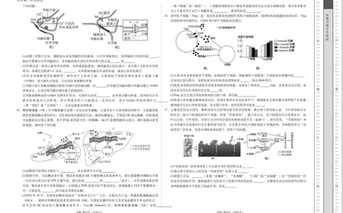 高二生物期中模拟卷测试范围：第1~5章（考试版A3）（天津专用）(1)_1多考区联考_1021高二期中模拟卷（天津专用）黄金卷：2024-2025学年高二上学期期中模拟考试