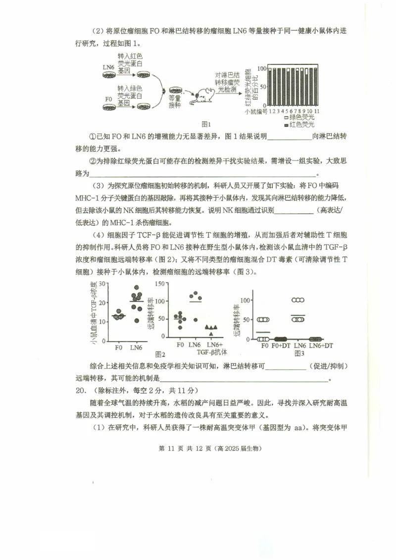 重庆市名校联盟2024-2025学年度第二期第一次联合考试生物_2025年3月_250315重庆市名校联盟2024-2025学年度第二学期第一次联合考试（全科）