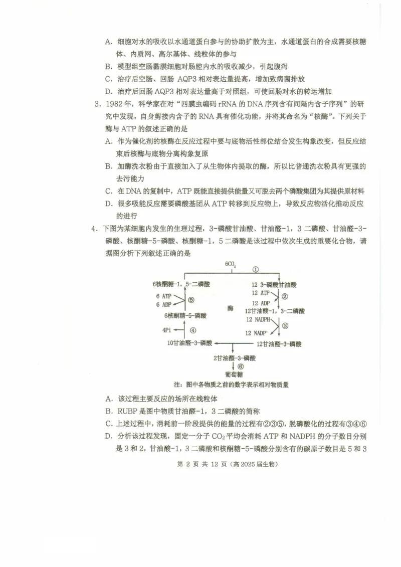 重庆市名校联盟2024-2025学年度第二期第一次联合考试生物_2025年3月_250315重庆市名校联盟2024-2025学年度第二学期第一次联合考试（全科）