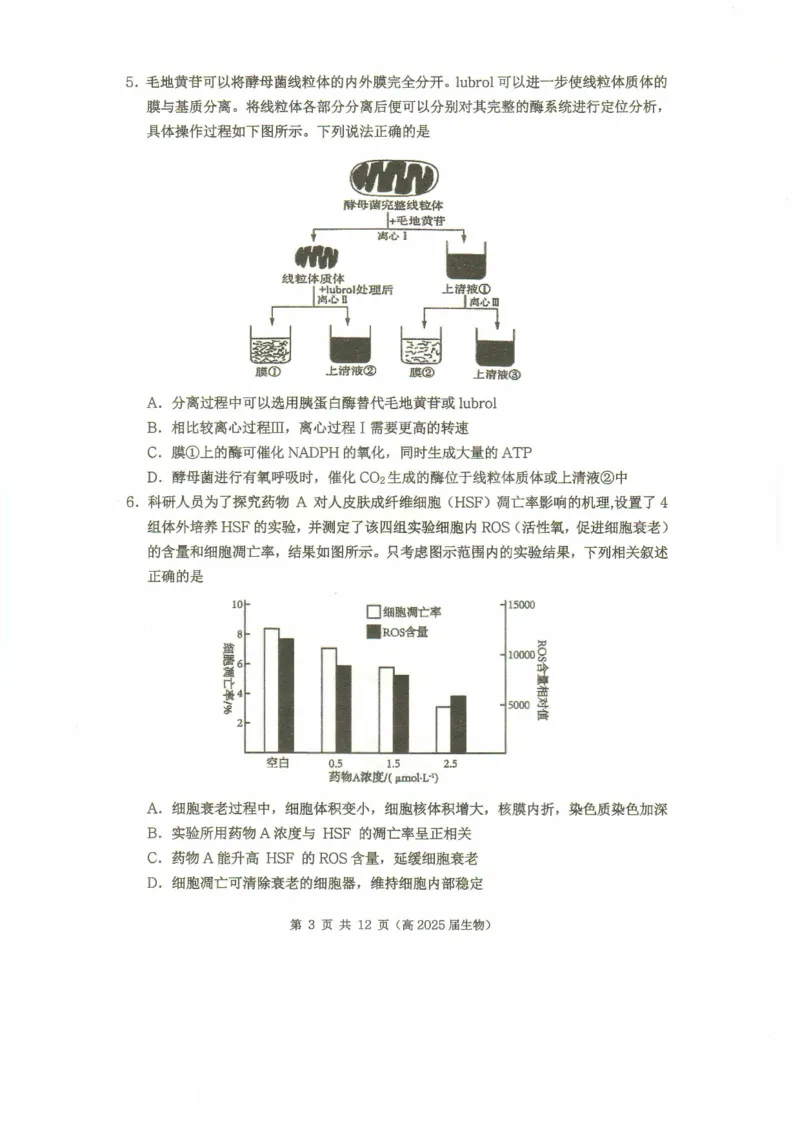 重庆市名校联盟2024-2025学年度第二期第一次联合考试生物_2025年3月_250315重庆市名校联盟2024-2025学年度第二学期第一次联合考试（全科）