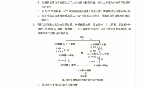 重庆市名校联盟2024-2025学年度第二期第一次联合考试生物_2025年3月_250315重庆市名校联盟2024-2025学年度第二学期第一次联合考试（全科）