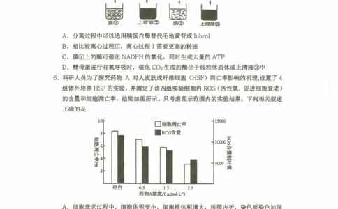 重庆市名校联盟2024-2025学年度第二期第一次联合考试生物_2025年3月_250315重庆市名校联盟2024-2025学年度第二学期第一次联合考试（全科）