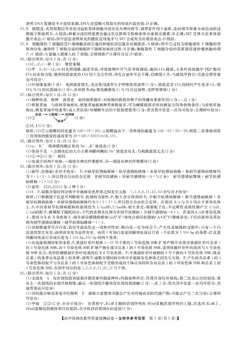 福建省莆田市2025届高中毕业班第四次教学质量检测生物答案_2025年5月_250510福建省莆田市2025届高中毕业班第四次教学质量检测（莆田四检）（全科）