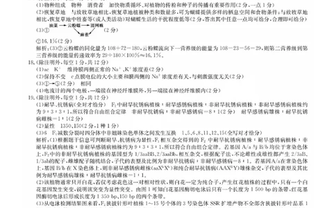 福建省莆田市2025届高中毕业班第四次教学质量检测生物答案_2025年5月_250510福建省莆田市2025届高中毕业班第四次教学质量检测（莆田四检）（全科）