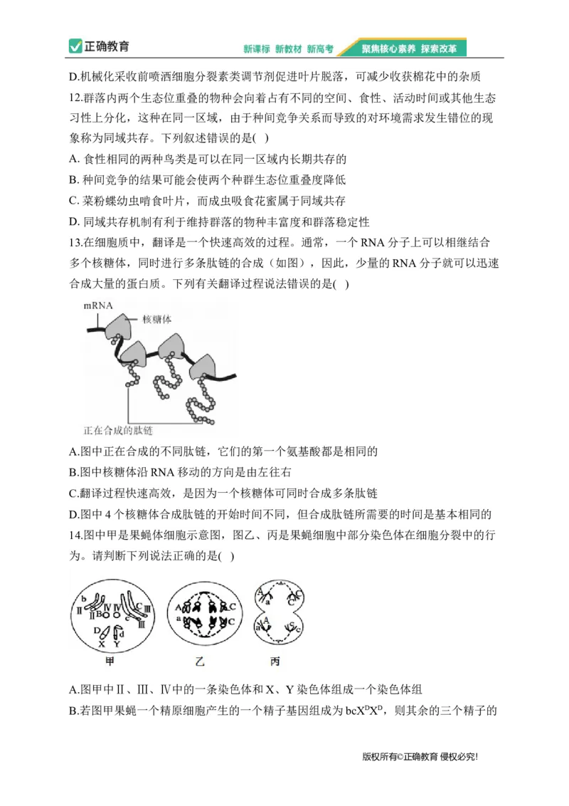 2023届新高考生物金榜猜题卷广东专版_2023高考押题卷_正确教育金榜猜题卷_（新高考）正确教育丨金榜猜题卷_新高考生物