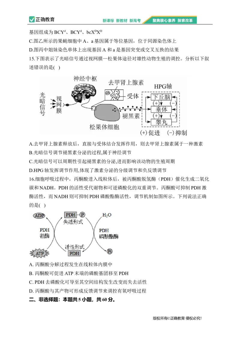 2023届新高考生物金榜猜题卷广东专版_2023高考押题卷_正确教育金榜猜题卷_（新高考）正确教育丨金榜猜题卷_新高考生物
