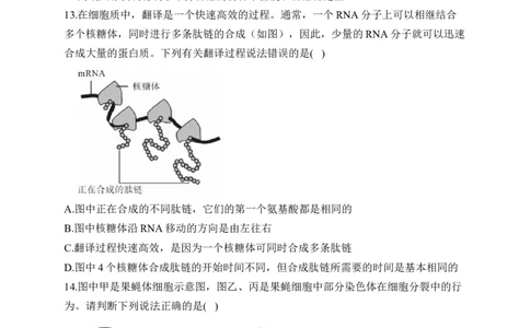 2023届新高考生物金榜猜题卷广东专版_2023高考押题卷_正确教育金榜猜题卷_（新高考）正确教育丨金榜猜题卷_新高考生物