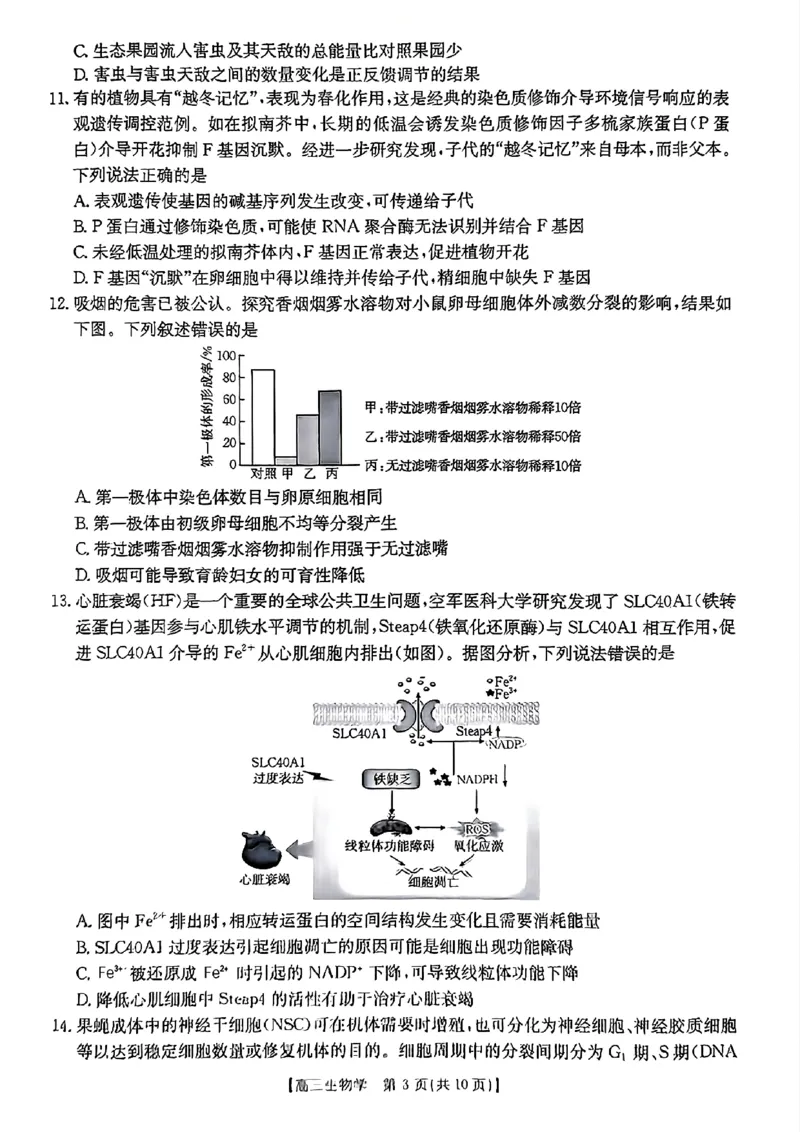 浙江省金色阳光2024-2025学年高三下学期2月适应性考试生物_2025年2月_250223浙江省金色阳光2024-2025学年高三下学期2月适应性考试（全科）