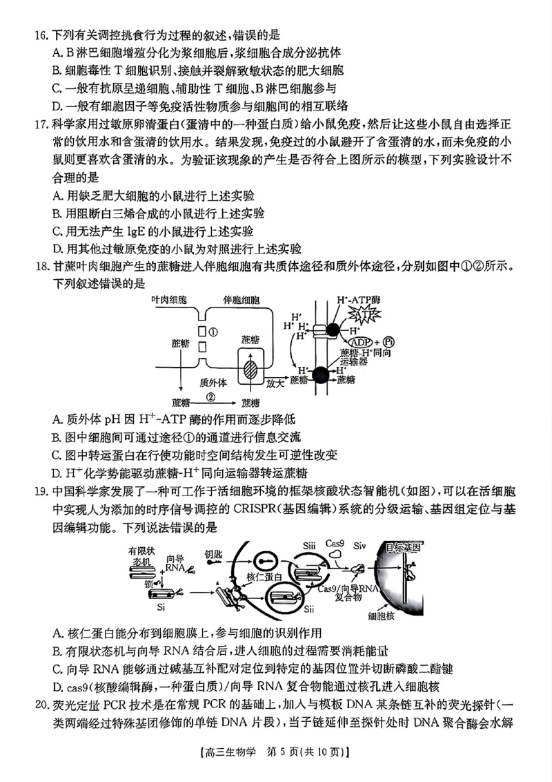 浙江省金色阳光2024-2025学年高三下学期2月适应性考试生物_2025年2月_250223浙江省金色阳光2024-2025学年高三下学期2月适应性考试（全科）