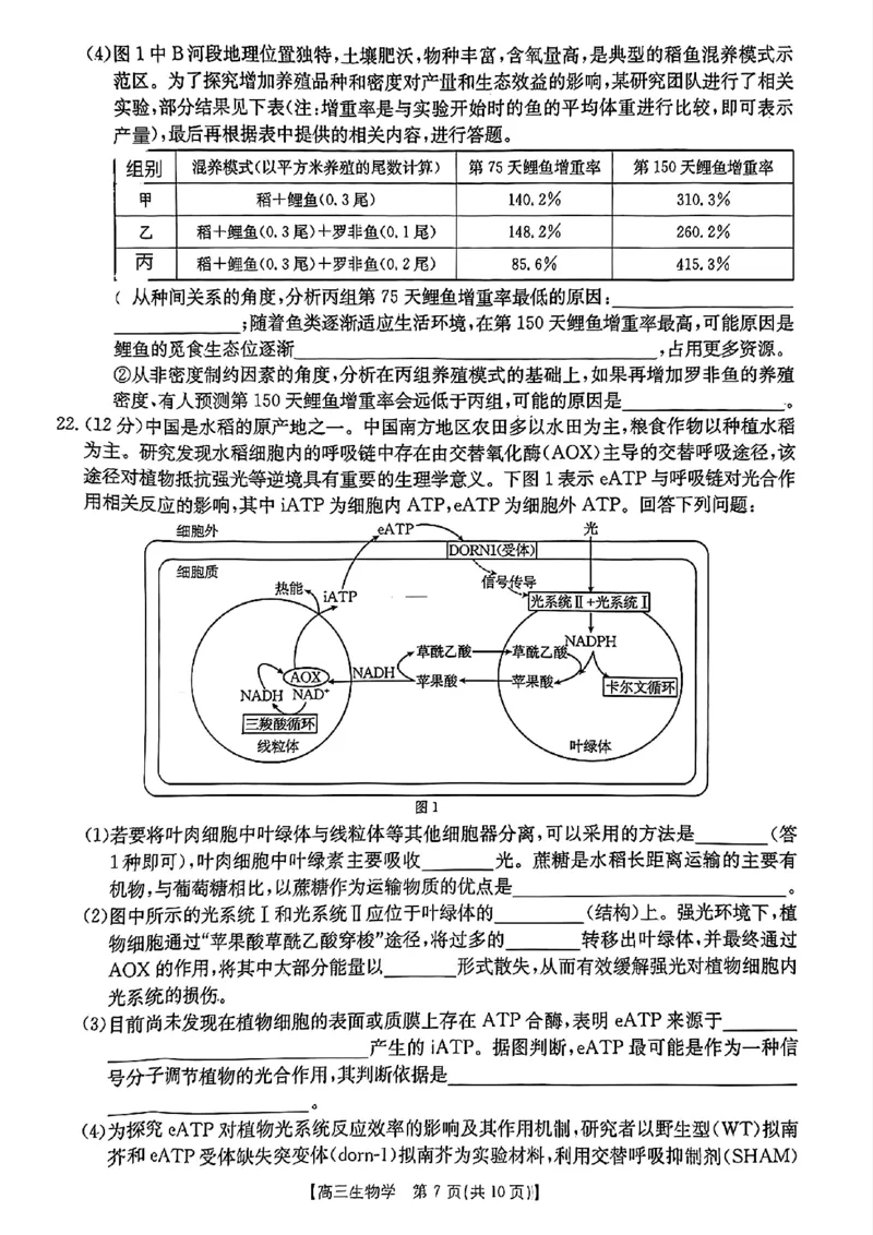 浙江省金色阳光2024-2025学年高三下学期2月适应性考试生物_2025年2月_250223浙江省金色阳光2024-2025学年高三下学期2月适应性考试（全科）