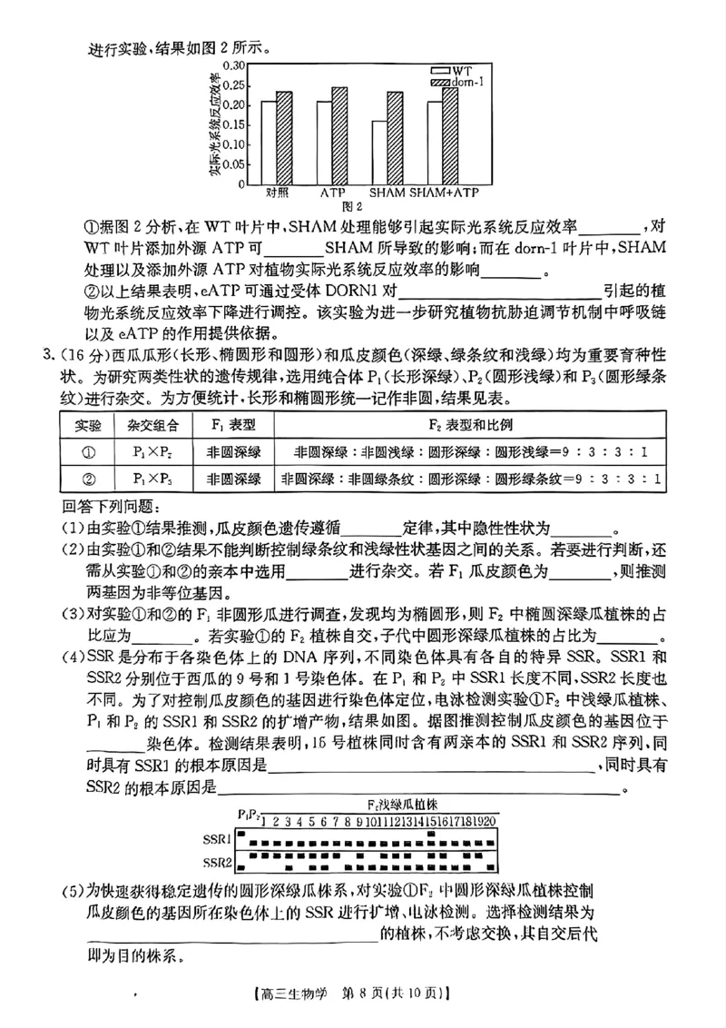 浙江省金色阳光2024-2025学年高三下学期2月适应性考试生物_2025年2月_250223浙江省金色阳光2024-2025学年高三下学期2月适应性考试（全科）
