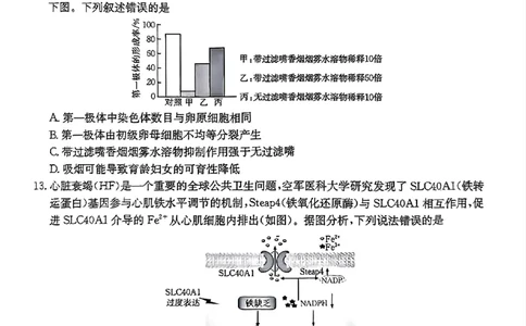浙江省金色阳光2024-2025学年高三下学期2月适应性考试生物_2025年2月_250223浙江省金色阳光2024-2025学年高三下学期2月适应性考试（全科）