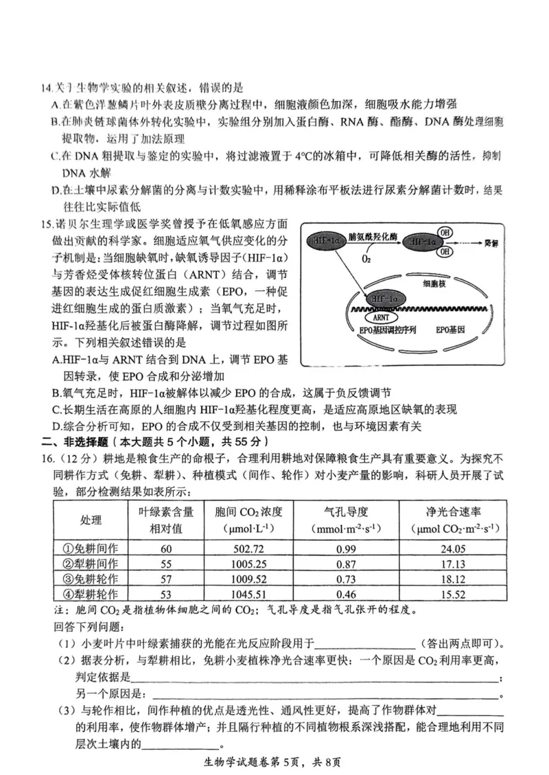 生物安徽省淮北市和淮南市2025届高三第二次质量检测（南北二模）_2025年4月_250424安徽省淮北市和淮南市2025届高三第二次质量检测（全科）