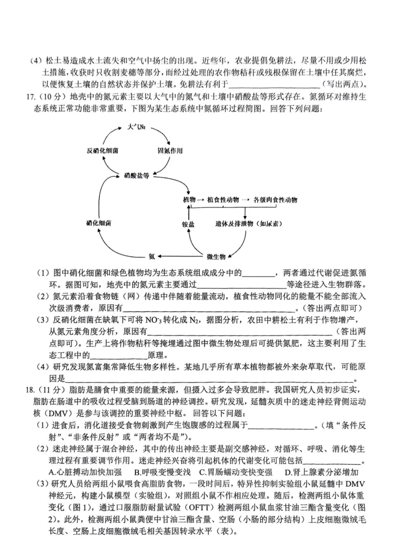 生物安徽省淮北市和淮南市2025届高三第二次质量检测（南北二模）_2025年4月_250424安徽省淮北市和淮南市2025届高三第二次质量检测（全科）