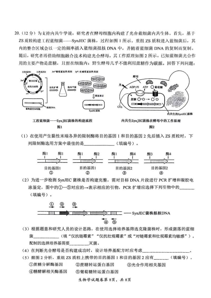 生物安徽省淮北市和淮南市2025届高三第二次质量检测（南北二模）_2025年4月_250424安徽省淮北市和淮南市2025届高三第二次质量检测（全科）