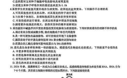浙江省北斗星盟2025届高三下学期适应性考试（三模）生物试卷（含答案）_2025年4月_250423浙江省北斗星盟2025届高三下学期适应性考试（三模）（全科）