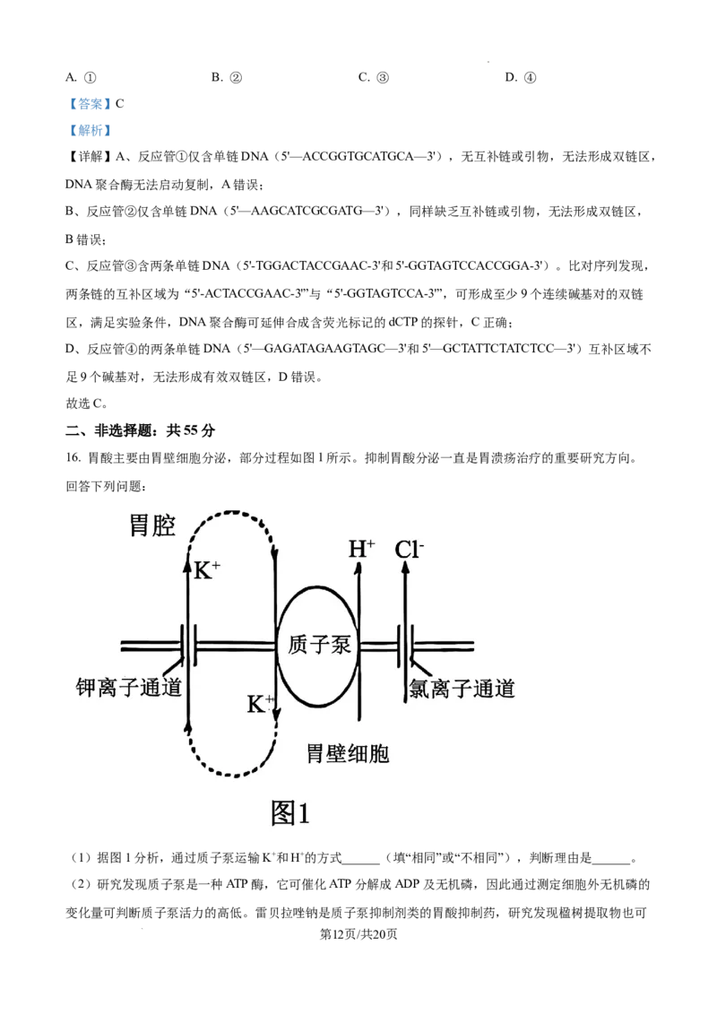 树德中学高2023级高三上开学考试+生物答案_2025年9月_250903四川省成都市树德中学高2023级高三上开学考试（全科）_四川省成都市树德中学高2023级高三上开学考试生物