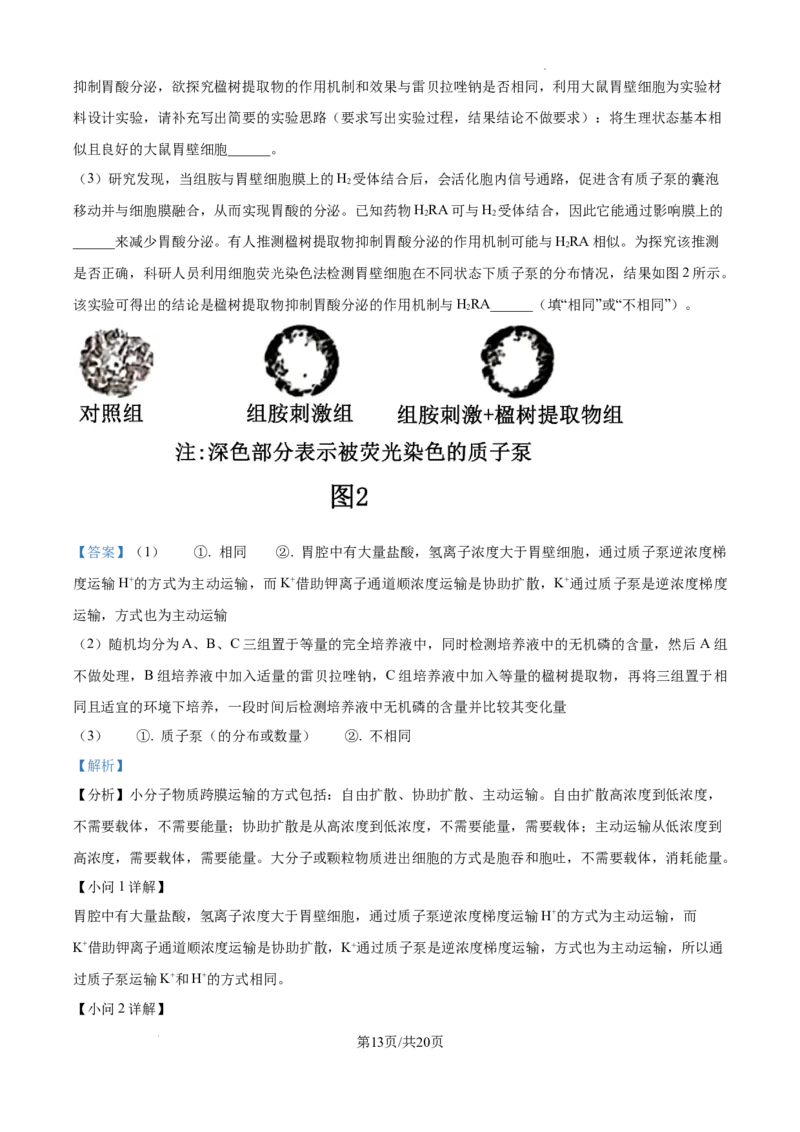 树德中学高2023级高三上开学考试+生物答案_2025年9月_250903四川省成都市树德中学高2023级高三上开学考试（全科）_四川省成都市树德中学高2023级高三上开学考试生物