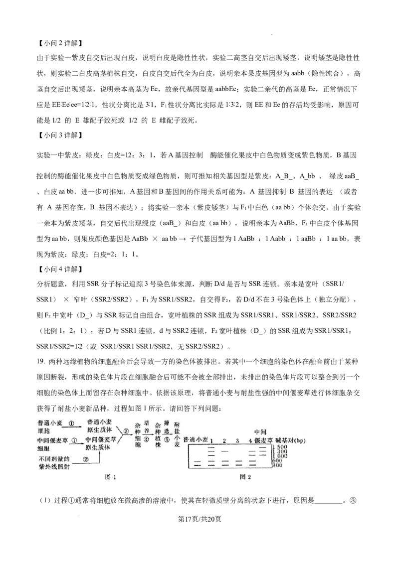 树德中学高2023级高三上开学考试+生物答案_2025年9月_250903四川省成都市树德中学高2023级高三上开学考试（全科）_四川省成都市树德中学高2023级高三上开学考试生物