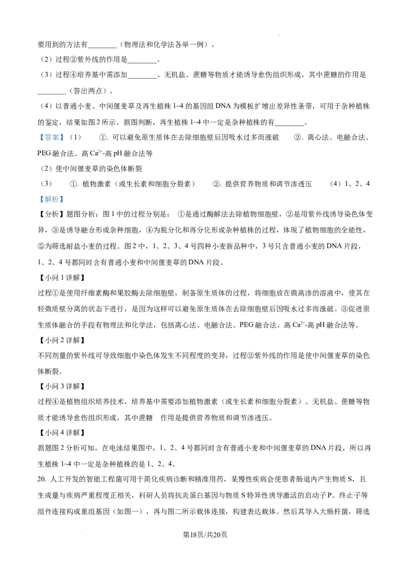 树德中学高2023级高三上开学考试+生物答案_2025年9月_250903四川省成都市树德中学高2023级高三上开学考试（全科）_四川省成都市树德中学高2023级高三上开学考试生物