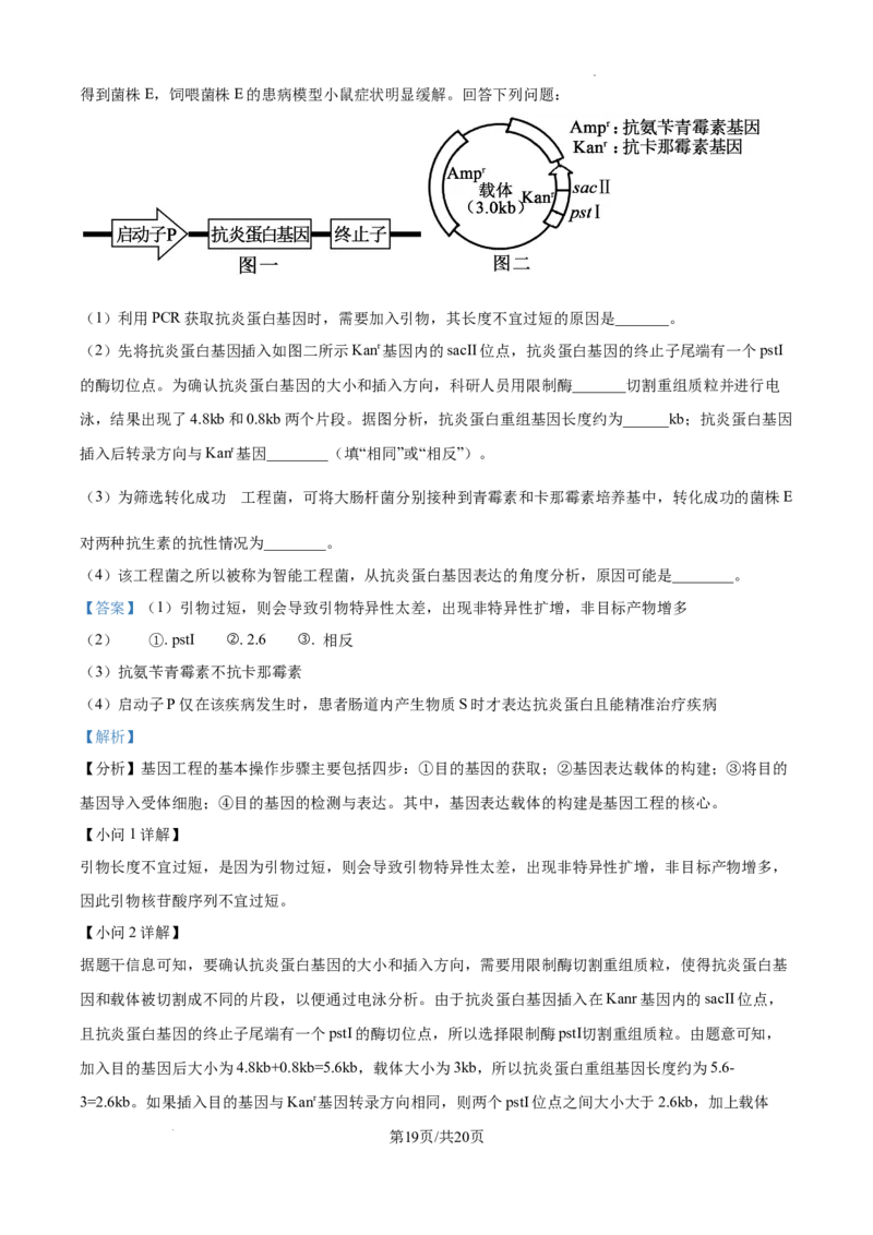 树德中学高2023级高三上开学考试+生物答案_2025年9月_250903四川省成都市树德中学高2023级高三上开学考试（全科）_四川省成都市树德中学高2023级高三上开学考试生物