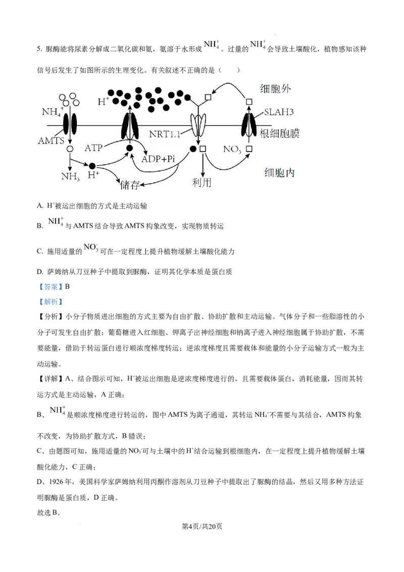 树德中学高2023级高三上开学考试+生物答案_2025年9月_250903四川省成都市树德中学高2023级高三上开学考试（全科）_四川省成都市树德中学高2023级高三上开学考试生物