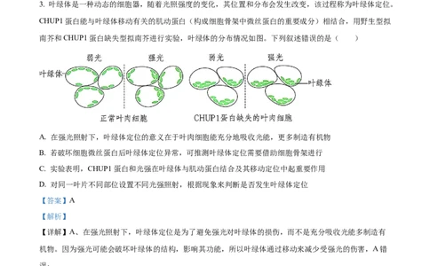 树德中学高2023级高三上开学考试+生物答案_2025年9月_250903四川省成都市树德中学高2023级高三上开学考试（全科）_四川省成都市树德中学高2023级高三上开学考试生物
