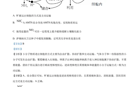 树德中学高2023级高三上开学考试+生物答案_2025年9月_250903四川省成都市树德中学高2023级高三上开学考试（全科）_四川省成都市树德中学高2023级高三上开学考试生物