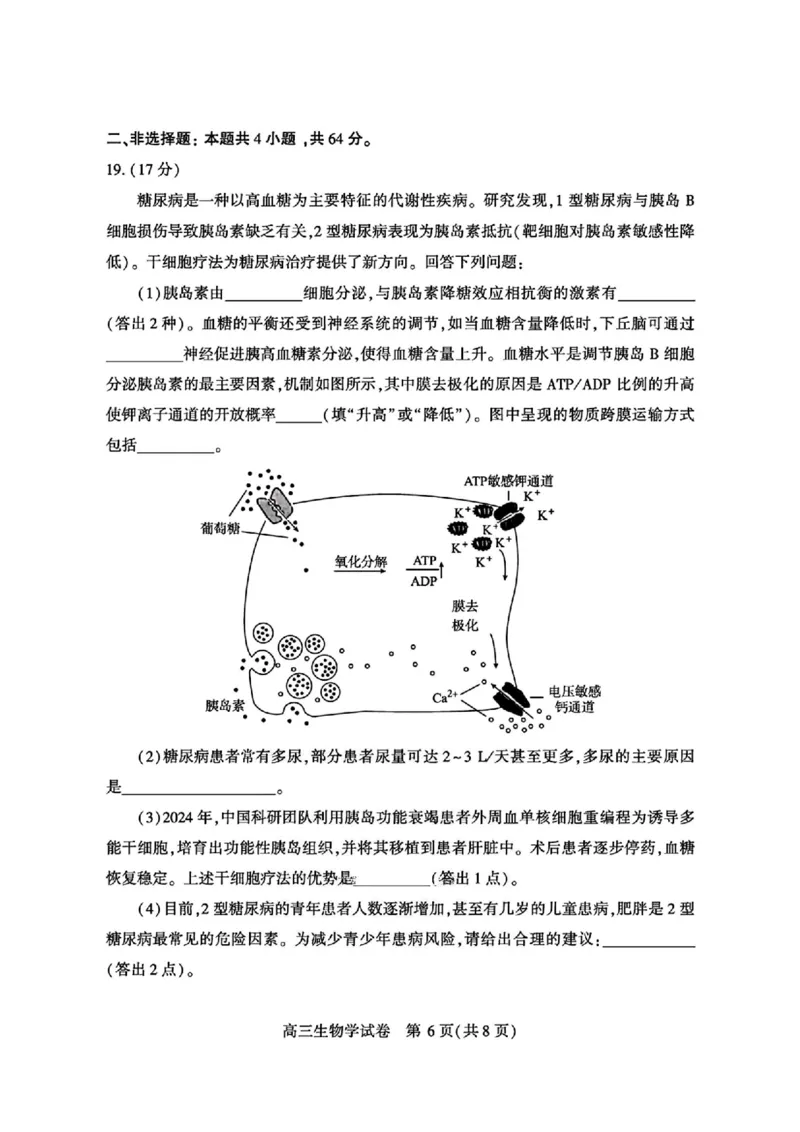 宜昌市2026届高三九月起点考试生物_2025年9月_250920湖北省宜昌市2026届高三九月起点考试（全科）