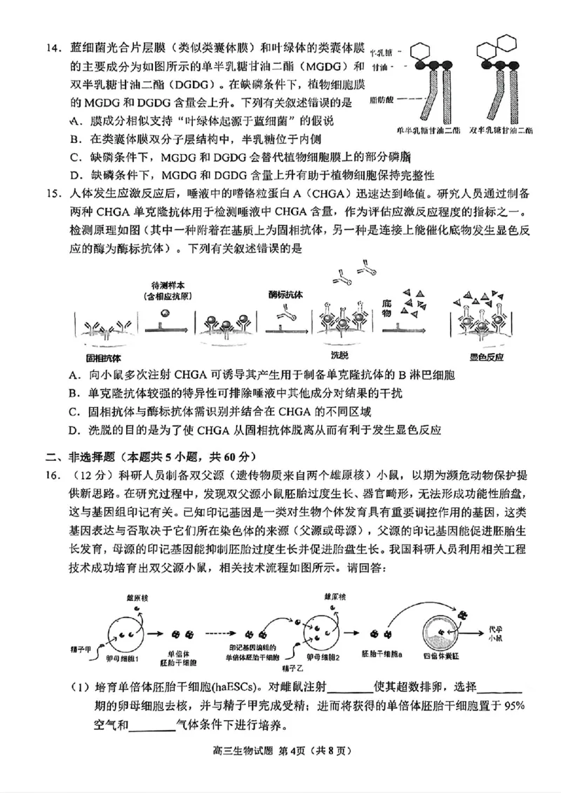 生物泉州市2025届高中毕业班适应性练习卷_2025年4月_250427福建省泉州市2025届高中毕业班适应性练习卷（泉州四检）（全科）_福建省泉州市2025届高中毕业班4月适应性练习卷生物
