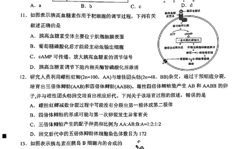 生物泉州市2025届高中毕业班适应性练习卷_2025年4月_250427福建省泉州市2025届高中毕业班适应性练习卷（泉州四检）（全科）_福建省泉州市2025届高中毕业班4月适应性练习卷生物