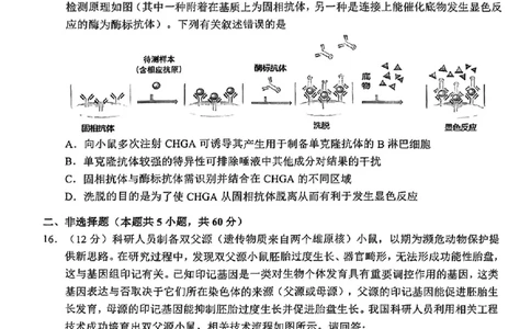 生物泉州市2025届高中毕业班适应性练习卷_2025年4月_250427福建省泉州市2025届高中毕业班适应性练习卷（泉州四检）（全科）_福建省泉州市2025届高中毕业班4月适应性练习卷生物