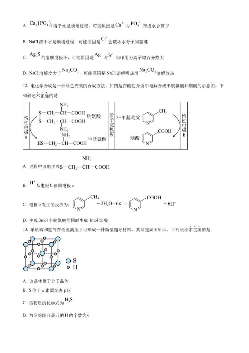 浙江省杭州市第二中学2026届高三上学期10月月考化学试题（原卷版）_2025年10月_12026年试卷教辅资源等多个文件_251026浙江省杭州市第二中学2026届高三上学期10月月考