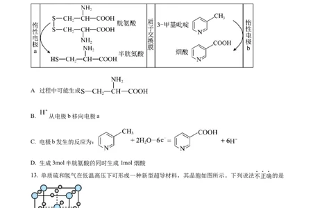 浙江省杭州市第二中学2026届高三上学期10月月考化学试题（原卷版）_2025年10月_12026年试卷教辅资源等多个文件_251026浙江省杭州市第二中学2026届高三上学期10月月考